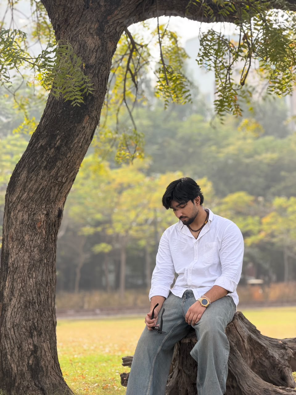 Shubham Sensei, Japanese teacher